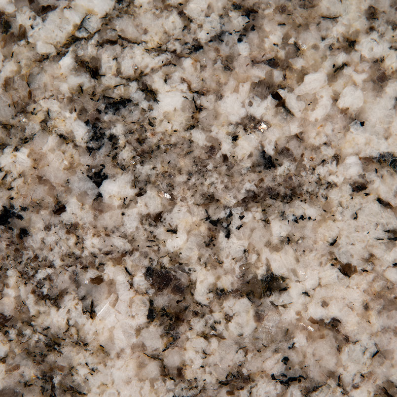 Arctic Sand Granite natural stone by Msi