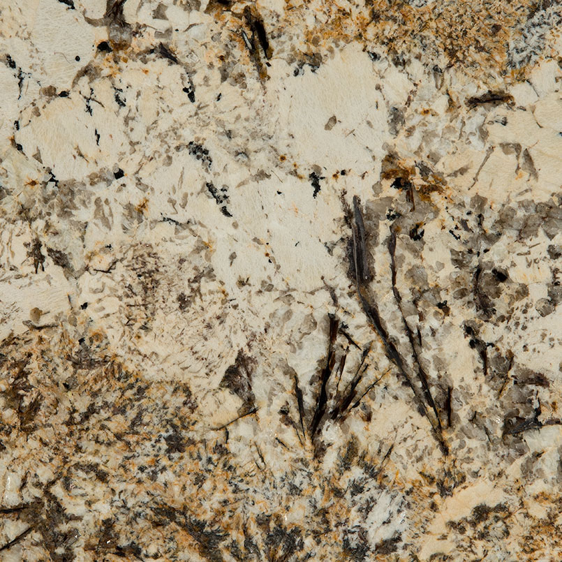 Caravelas Gold Granite natural stone by Msi