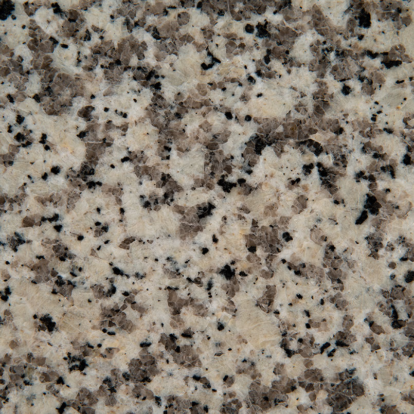 Crema Atlantico Granite natural stone by MSI