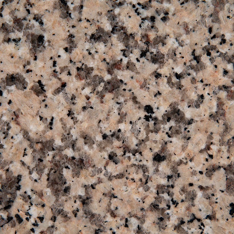 Crema Caramel Granite natural stone by MSI