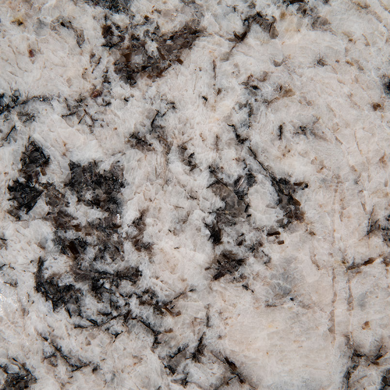 Oyster White Granite Countertops natural stone by MSI