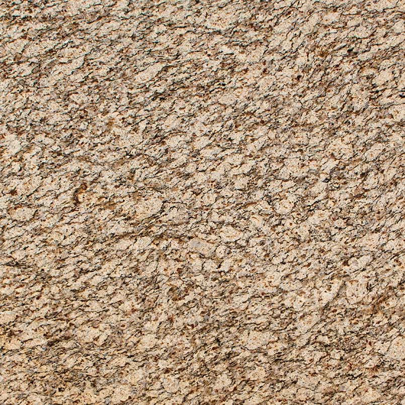 Santa Cecelia Granite natural stone by Msi